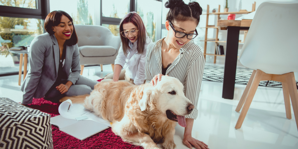 Employees playing with dog in pet-friendly office